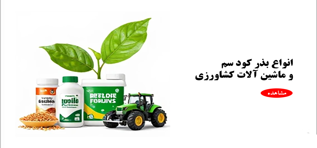 nody-عکس-سفید-ساده-پس-زمینه-1630500085222222222222