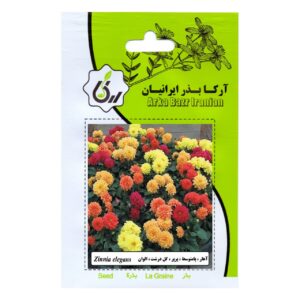 بذر گل آهار پا متوسط ،پر پر، گل درشت ،الوان